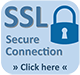 ssl secure connection link